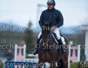 Dahila della Verdina Tosc Tour2013- S5 1771 : Arezzo, Cavalli d'Italia, Dahila della Verdina, Toscana Tour 2013, foto di Stefano Secchi ©